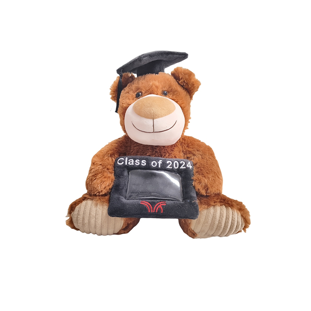 Graduación de peluche marrón oso suave peluche peluche juguete