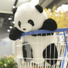 Almofada de boneca de brinquedo de panda de pel&uacute;cia com design personalizado