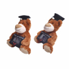 Graduation Brown Teddy Bear Soft Fuzzy Plush Gift Toy