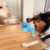 Giocattoli per animali domestici personalizzati gommosi e striduli in peluche per cani gialli e blu