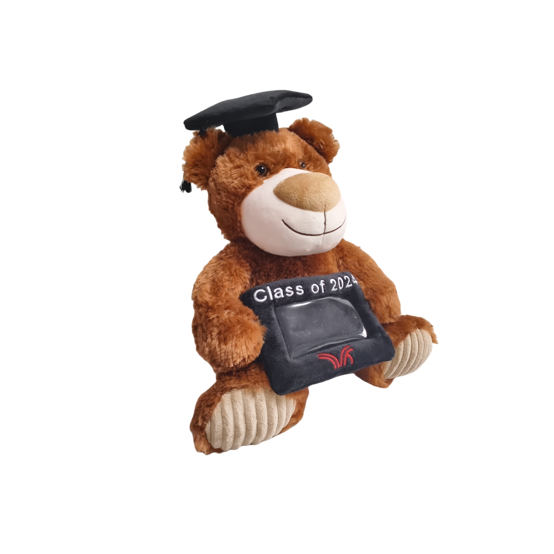 Graduation Brown Teddy Bear Soft Fuzzy Plush Gift Toy