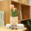 Mapambo ya Ubora ya Vyumba Plush Toy Stuffed Plant Custom Plushie