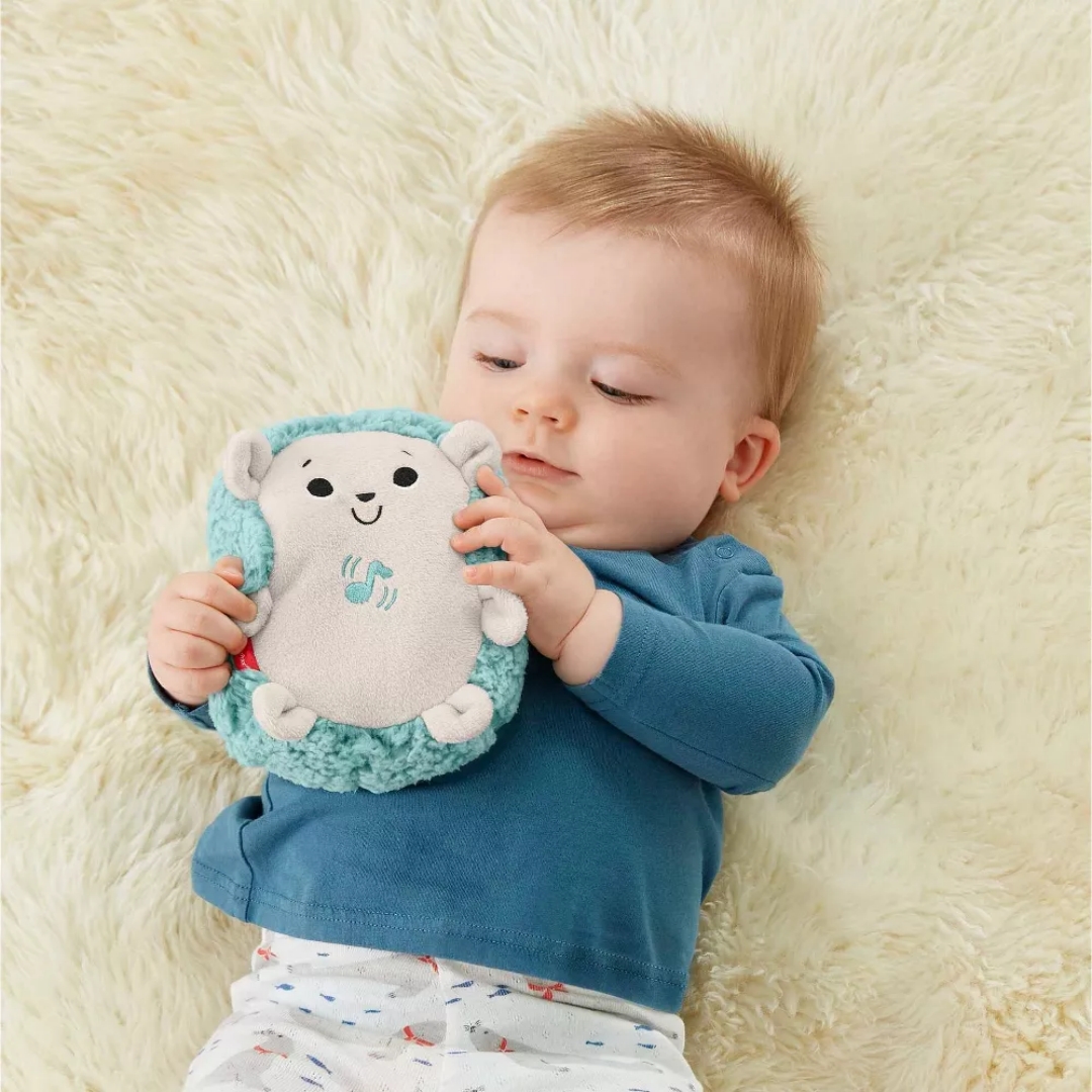 Fisher-Price Vibrazioni Calmanti Riccio Succhietto Musica Morbida Peluche per Bambini
