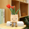 Mapambo ya Ubora ya Vyumba Plush Toy Stuffed Plant Custom Plushie