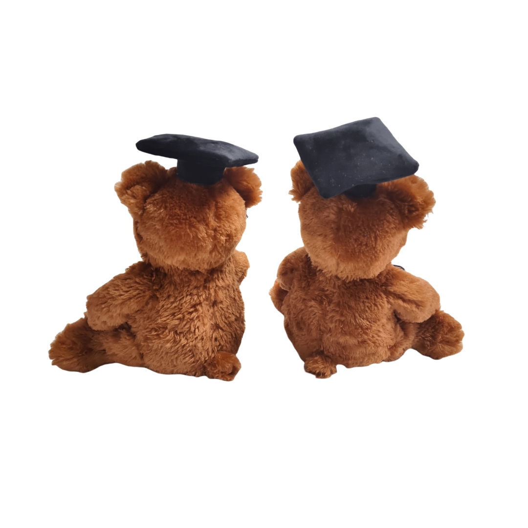 Graduation Brown Teddy Bear Soft Fuzzy Plush Gift Toy
