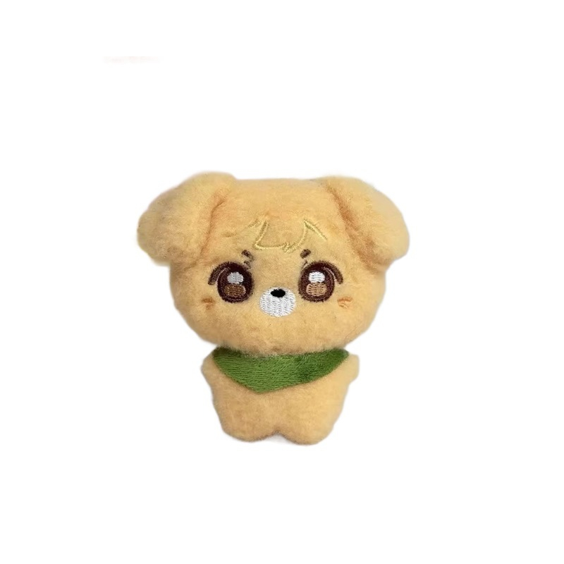 Anime na Nakapaligid na Laruang Custom Plush Stuffed Cute Kpop Cotton Doll